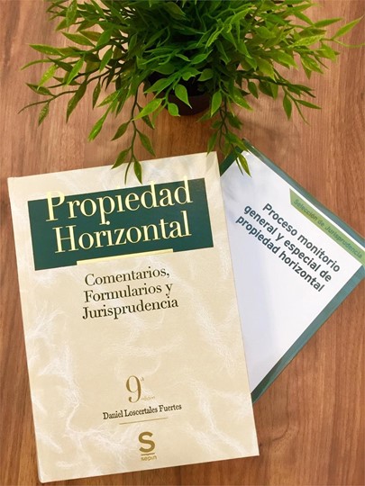 EL PROCESO ESPECIAL CONTRA LOS DEUDORES DE LAS COMUNIDADES DE PROPIETARIOS